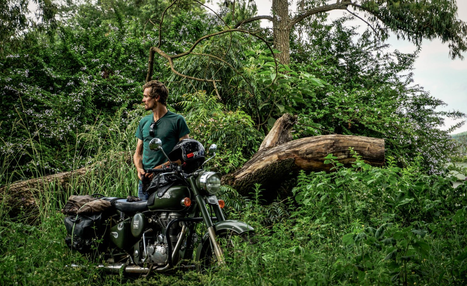 royal enfield jungle south africa