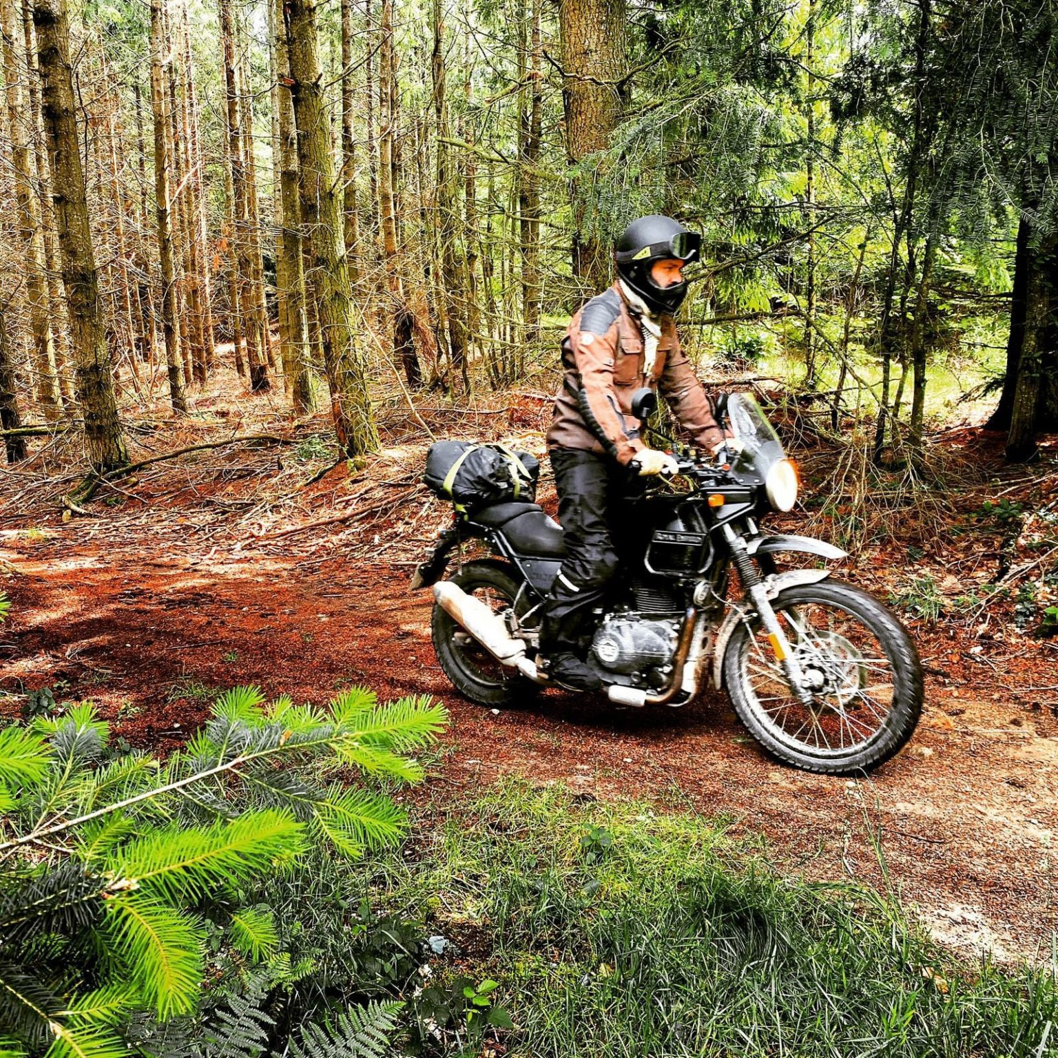 ride in forest in france