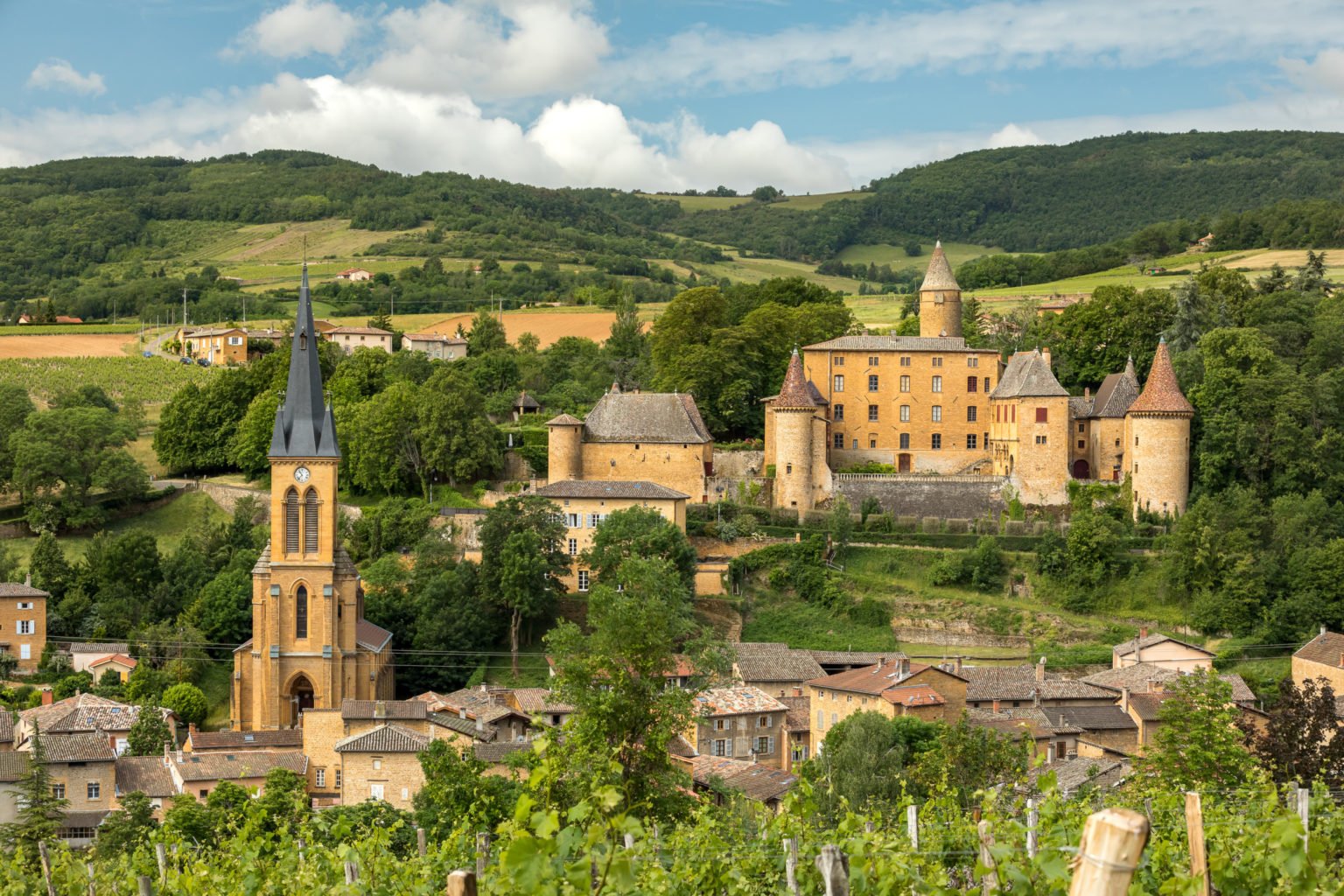 vineyard beaujolais region france