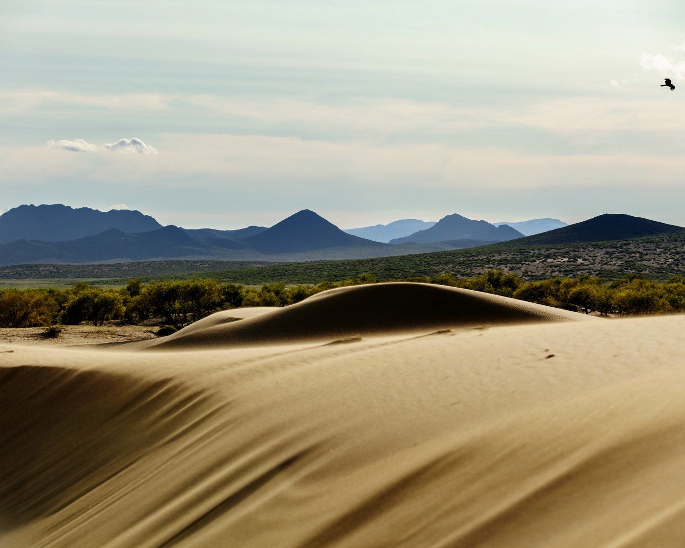 gobi desert mongolia 