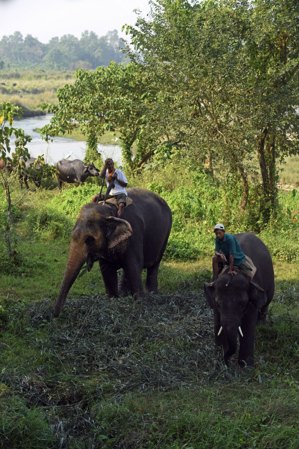 enfants jouant avec éléphant