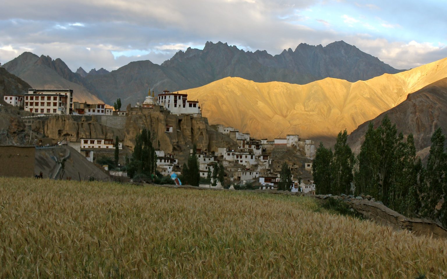 tibetan monastery india