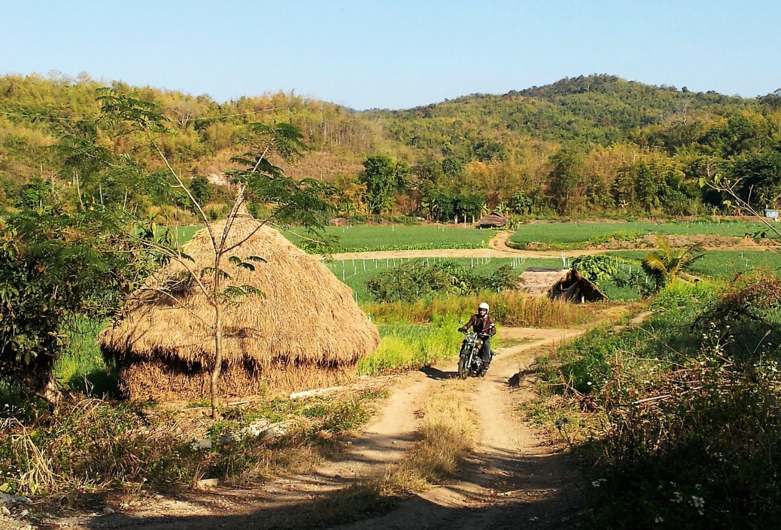 country road thailand