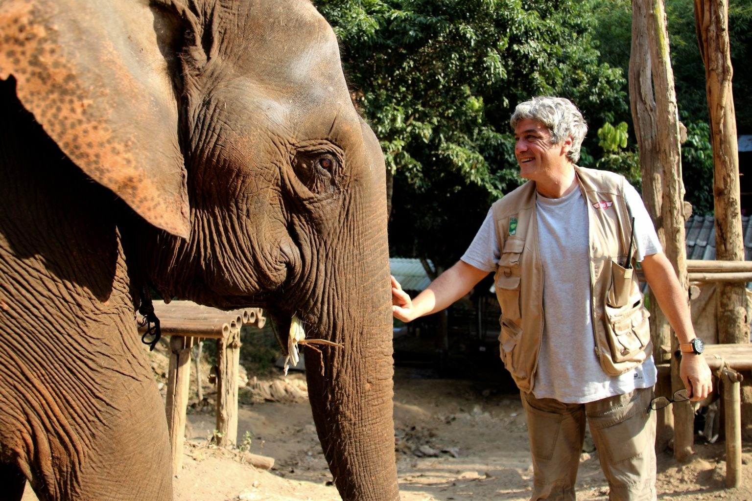 elephant reserve thailand