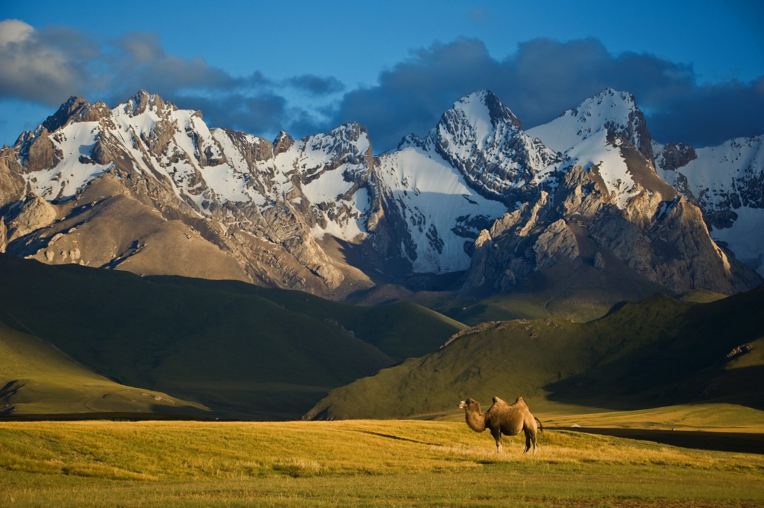 Три киргизии. Тянь-Шань Киргизия. Киргизия горы Тянь-Шань. Горы Тянь Шань Памир. Природа Киргизия Тянь-Шань.