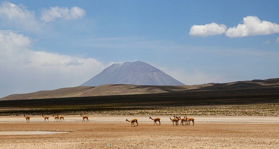 desert landscape peru